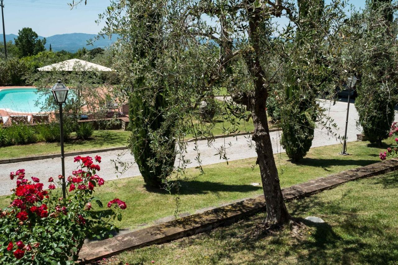 La Casa Delle Rose Terranuova Bracciolini