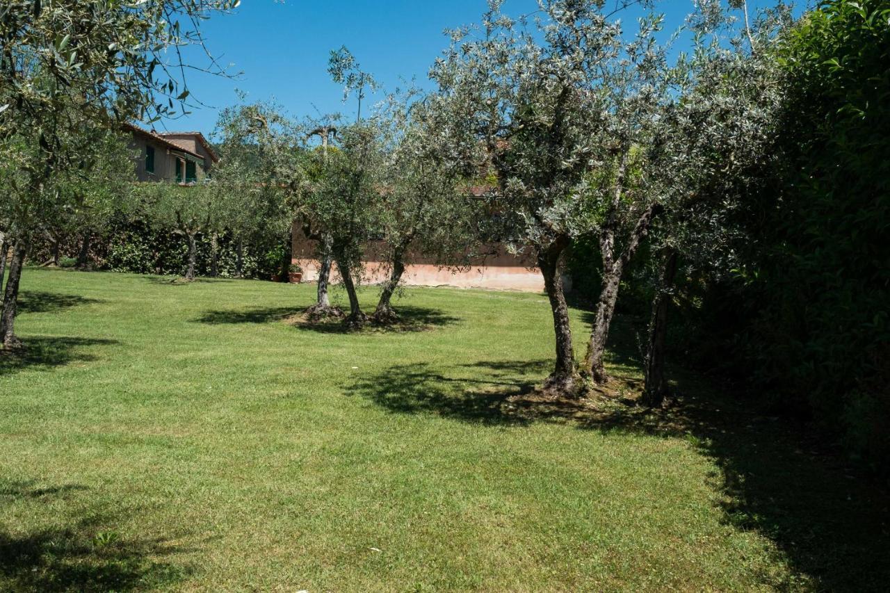 La Casa Delle Rose * Terranuova Bracciolini