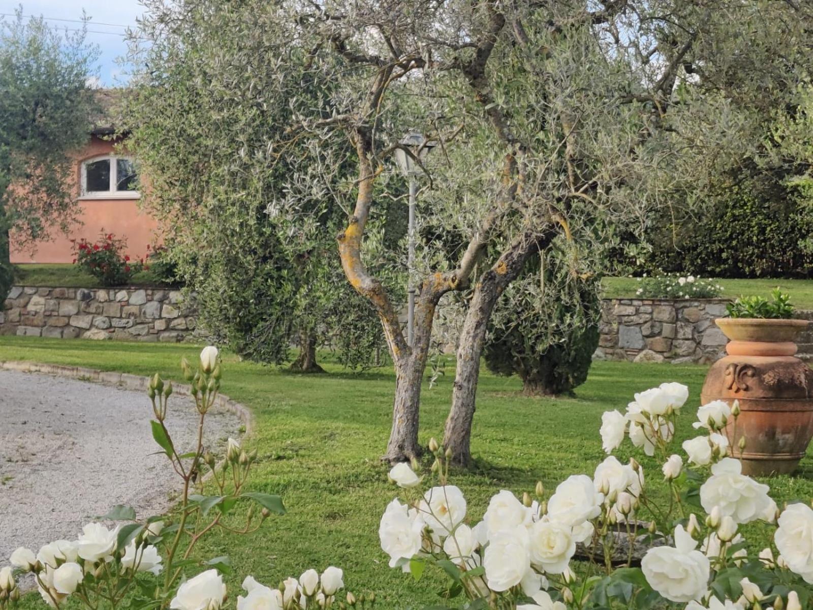 Ferienhaus La Casa Delle Rose